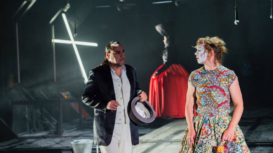 Gorda gospodarica sopstvenog posrtanja 1