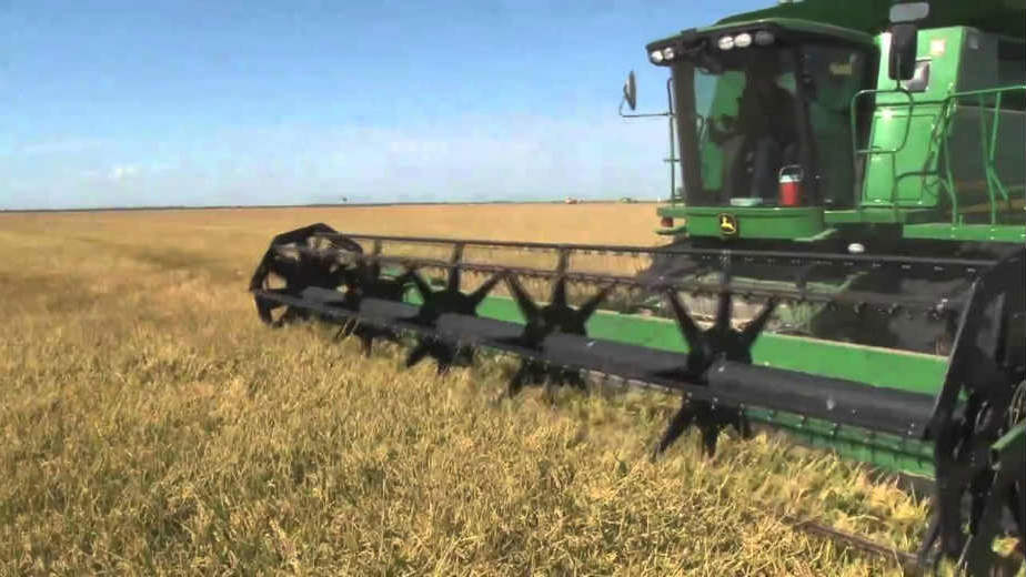 Patent Co. jedina kompanija iz Srbije na sajmu u Utrehtu 1 Patent Co. jedina kompanija iz Srbije na sajmu u Utrehtu 1