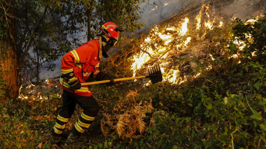 Portugalija traži pomoć za gašenje požara 1