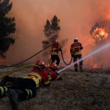 Požar na Lovćenu i dalje gori, traže se dobrovoljci 12