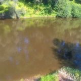 Protest ribolovaca zbog zagađenja i uništenja Južne Morave 13