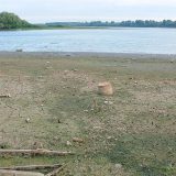 Alge preplavile plažu 3