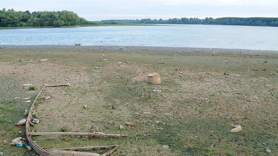 Alge preplavile plažu 1