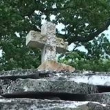 Navršava se 14 godina od zločina u Goraždevcu 8