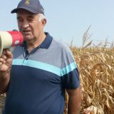 Suša umanjila prinose 15