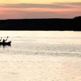 Takmičenje i saradnja 5