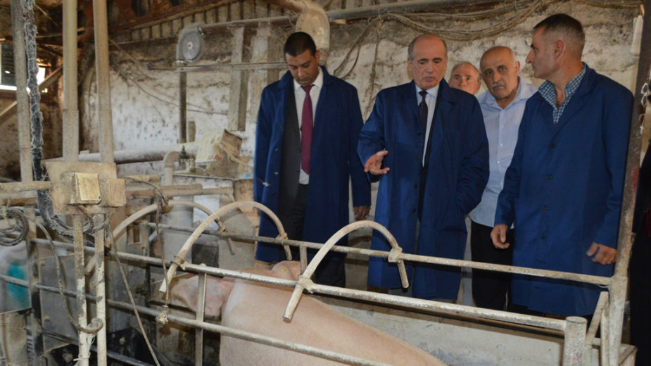 Krkobabić: Najbolje uloženih 11 miliona dinara u Srbiji 1