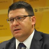 Aleksandar Đurđev: Novi Sad - glavni grad Srbije 4