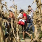 Otpor prema migrantima posledica neinformisanosti 8