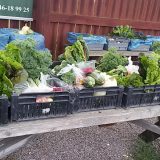 Plavi okean u švedskoj ravnici 12