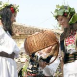 "Krajinska berba" u Rogljevu 6