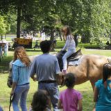 Organski stil življenja 4