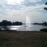 DJB: Uvešćemo red na Adu Ciganliju 7