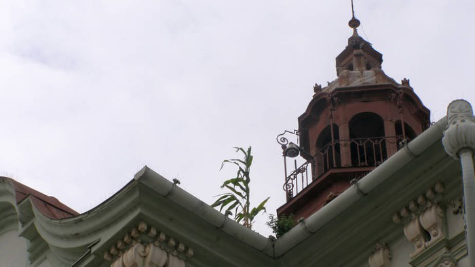 Zrenjanin: "Neke biljke koje su štrčale ka nebu" 1 Zrenjanin: "Neke biljke koje su štrčale ka nebu" 1