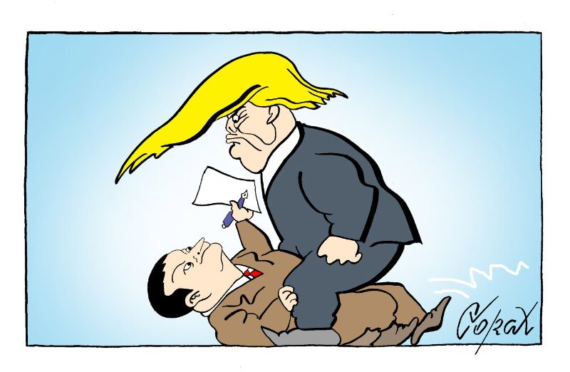 Corax 5