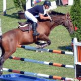 Iz istorijata Ergele Ljubičevo i Igara 10