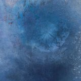 Doktorski otisci tradicije 11