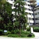 Milion dinara za specijaliste 5
