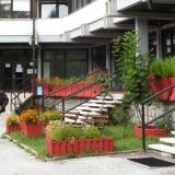 Tradicionalni sabor lekara 2