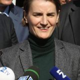 Brnabić: Koji se novinari plaše da govore protiv vlade 14