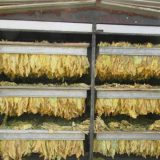 Zaplenjen duvan u Bogatiću 8