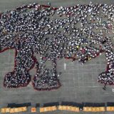 Svetski dan nosoroga 9