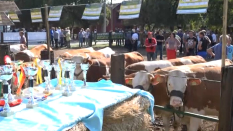 Međunarodni resavski poljoprivredni sajam 1