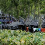 Bangladeš traži da Mjanmar primi nazad Rohinđa muslimane 15