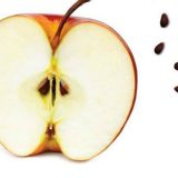 Sabrana dela Aleksandra Ristovića 2