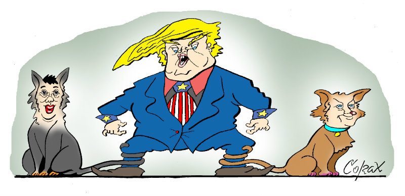 Corax 2