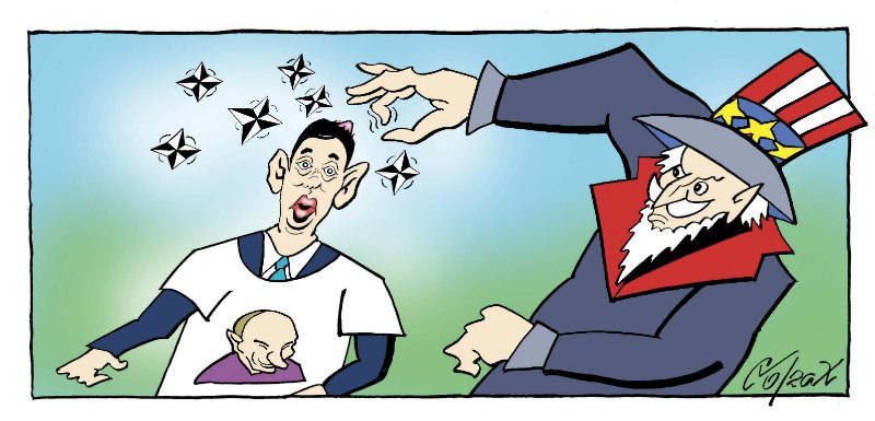 Corax 5