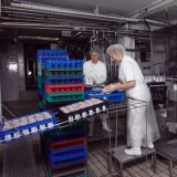 Novi partner moskovska firma DMZ 7