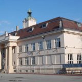 Inspekcija ponovo u Miletiću 9