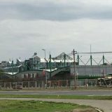 Uskoro novogodišnji sjaj u Beogradu od skoro četiri miliona evra 3