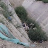 CINS: Tone životinjskih ostataka bacaju mimo propisa 2