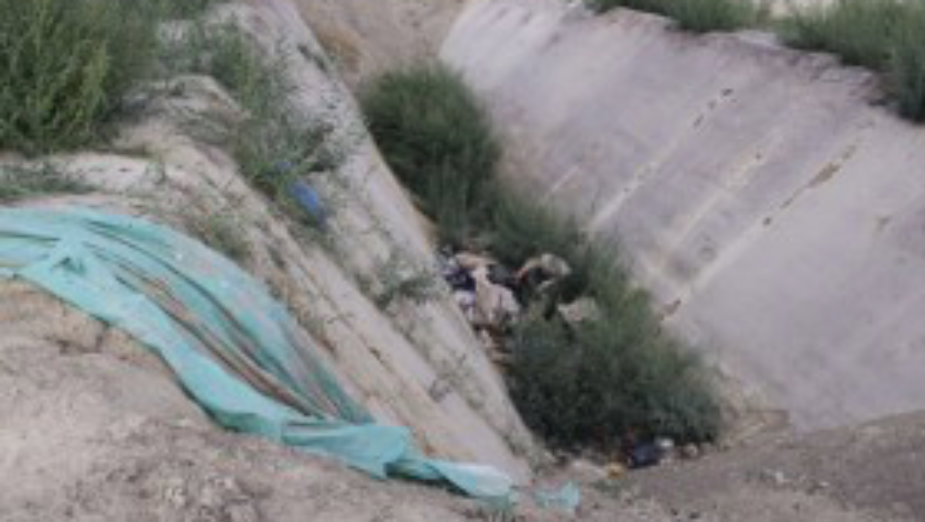 CINS: Tone životinjskih ostataka bacaju mimo propisa 1