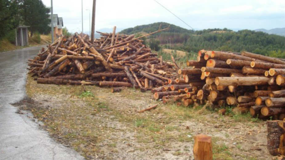 Zbog ilegalne seče godišnje nestane hiljade hektara šuma 1