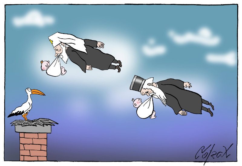 Corax 14
