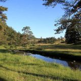 Šta se krije iza proglašenja Zlatibora za park prirode? 8