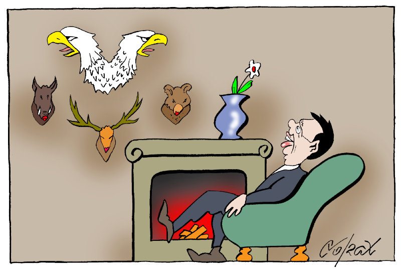 Corax 8