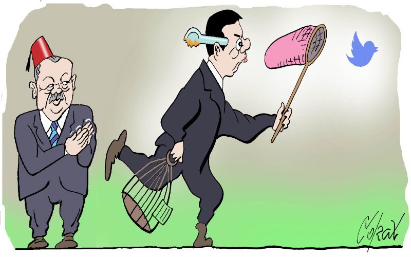 Corax 15