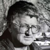 Oskarovac Stojan Stiv Tešić: Od ushićenja do razočaranja u američki san 6