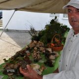 Uspešno održani "Dani gljiva i bilja" 9