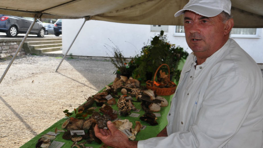 Uspešno održani "Dani gljiva i bilja" 1