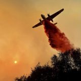 U Kaliforniji 31 žrtva požara 9