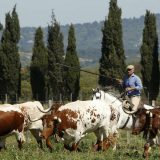 Visoka stopa samoubistava među francuskim poljoprivrednicima 4