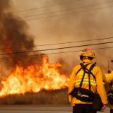 Požari u Kaliforniji uništili i plantaže marihuane 2