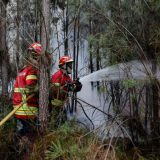Desetine ljudi stradalo u požarima u Portugalu 14
