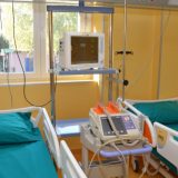 CINS: Medicinarima iz KC Niš u samoizolaciji smanjena plata 6