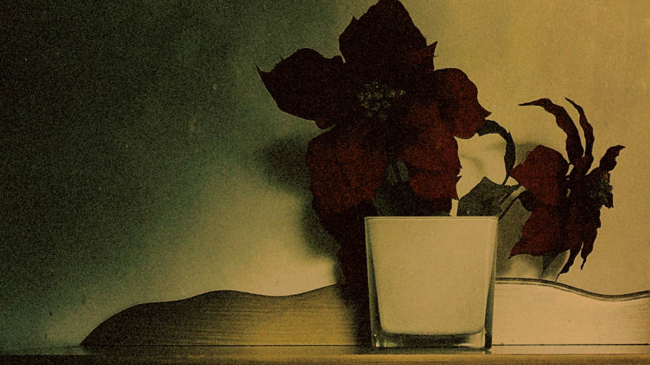 Roman o Apostolu Pavlu 1